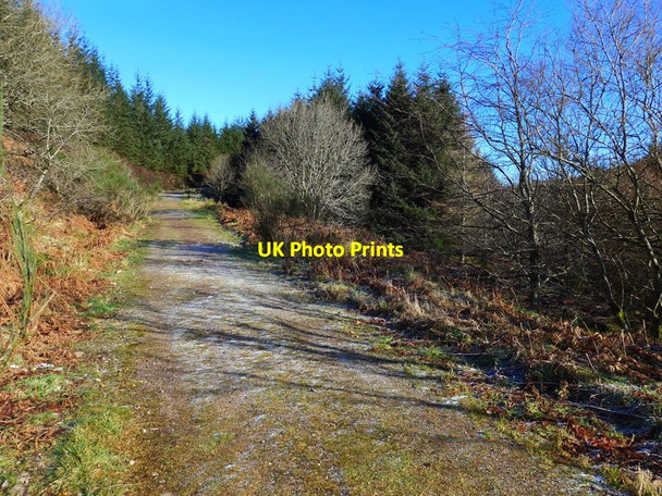 Photo 6"x4" The Powbrone track Sheetloch Burn\/NS6733 c2016
