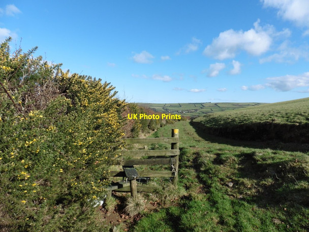 Photo 6"x4" Redundant stile on Rowley Down Blackmoor Gate c2016