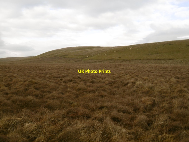 Photo 6"x4" Scaur Hill Uddington c2016