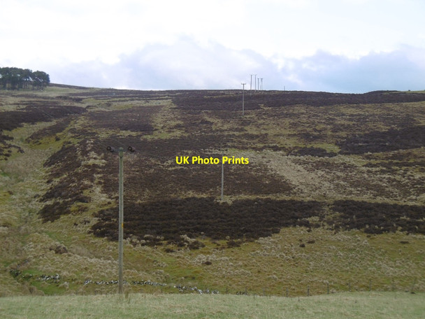 Photo 6"x4" Moorland, Bodinglee Newton\/NS9331 c2016