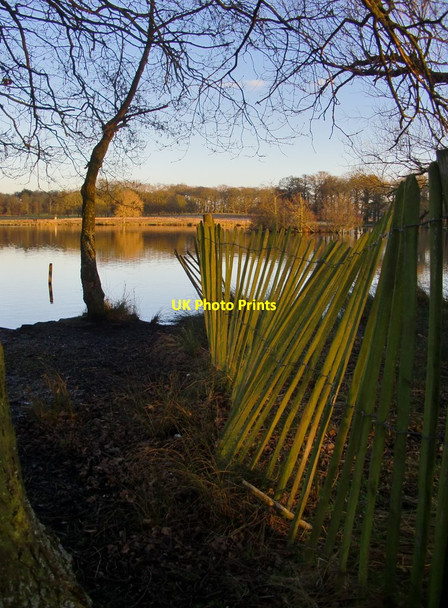 Photo 6"x4" Fence by the Upper Pen Pond Kingston Upon Thames c2016