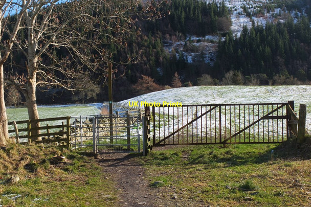 Photo 6"x4" Path to the Tweed, Innerleithen Innerleithen c2016