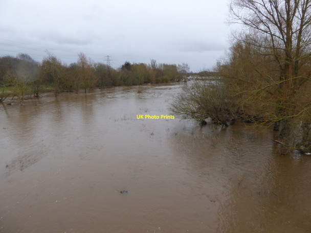 Photo 6"x4" River Exe in flood in 2016 Exeter c2016