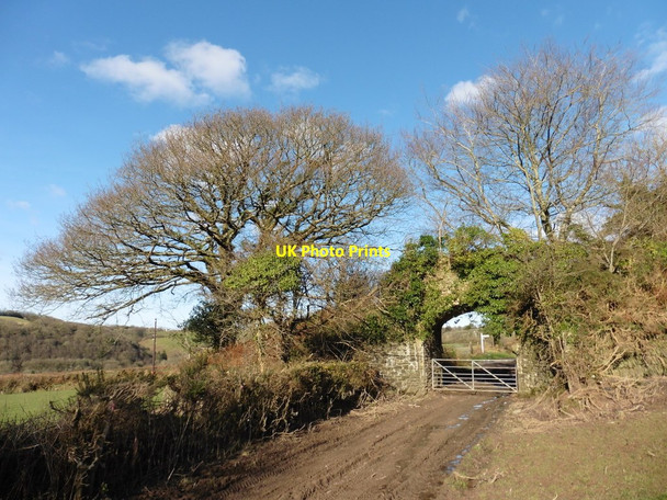 Photo 6"x4" Disused road bridge over former L and B railway trackbed Knightacott\/SS6439 c2016
