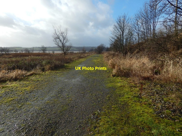 Photo 6"x4" Path near the shore at Milton Dumbarton c2016 P1