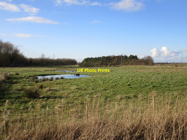 Photo 6"x4" Wilfholme Carrs Aike c2016