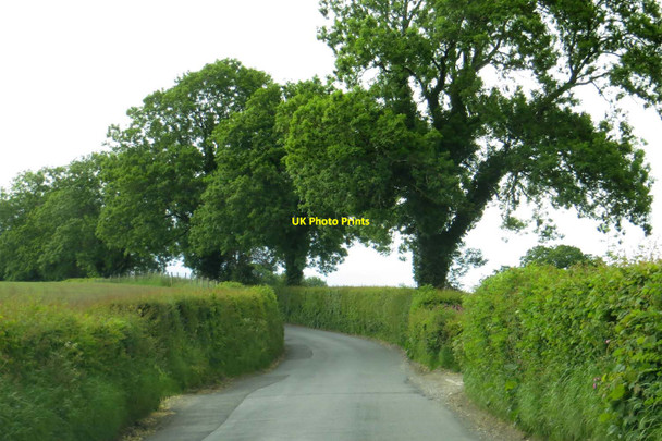 Photo 6"x4" The road to Bolton-by-Bowland Holden c2015