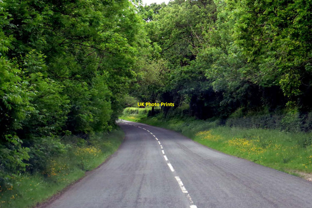 Photo 6"x4" The road to Wigglesworth Bolton-by-Bowland c2015