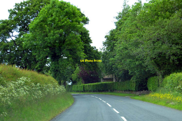 Photo 6"x4" The road to Wigglesworth by Stoop Lane Bolton-by-Bowland c2015