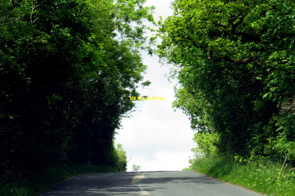 Photo 6"x4" The road up Forest Becks Brow to Wigglesworth Forest Becks c2015