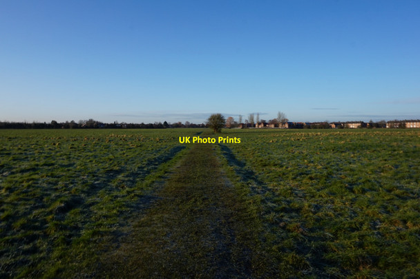 Photo 6"x4" Hob Moor Local Nature Reserve, York York\/SE5951 c2016