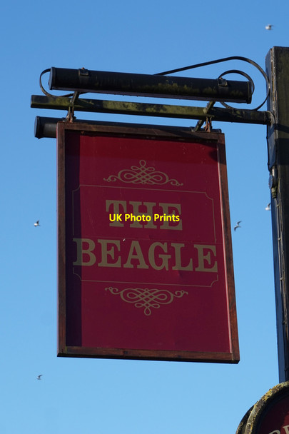 Photo 6"x4" The Beagle on Foxwood Lane, York York\/SE5951 c2016