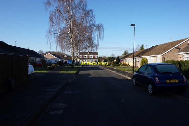 Photo 6"x4" Carrfield, Woodthorpe, York York\/SE5951 c2016