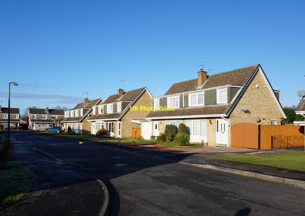 Photo 6"x4" Houses on Foxton, Woodthorpe, York York\/SE5951 c2016