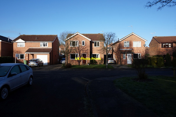 Photo 6"x4" Alness Drive, Woodthorpe, York West Field\/SE5650 c2016