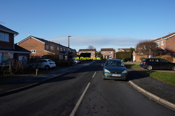 Photo 6"x4" Carron Crescent, Woodthorpe, York West Field\/SE5650 c2016