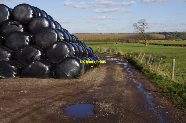 Photo 6"x4" Track to Field Farm Lower Green\/SP5068 c2016