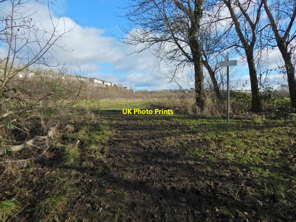 Photo 6"x4" The Shore Circular Path Brucehill\/NS3875 c2016