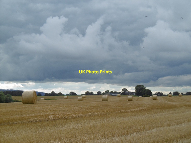 Photo 6"x4" Round bales and Powmyre Kirriemuir c2015