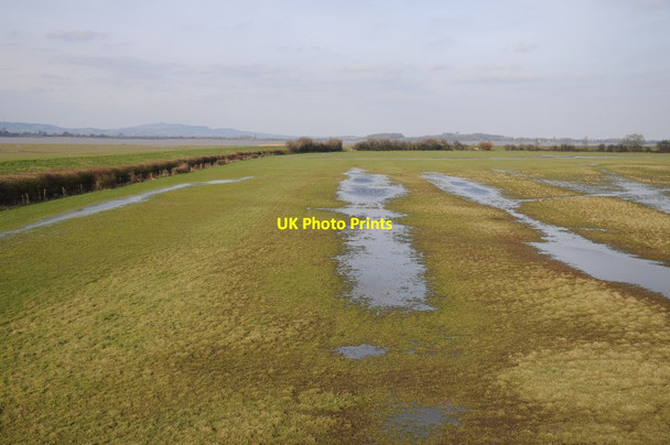 Photo 6"x4" Wetland at Slimbridge Shepherd's Patch c2016