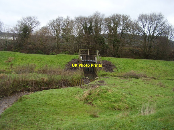 Photo 6"x4" A tributary of the River Otter Honiton\/ST1600 c2016