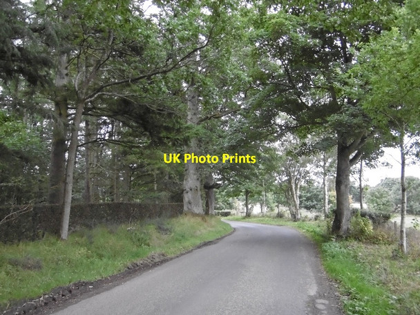 Photo 6"x4" Road, Ruthven Ruthven\/NO2848 c2015