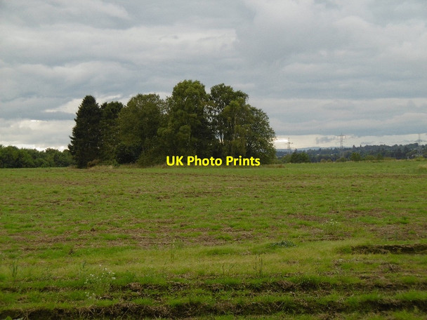 Photo 6"x4" Field, Ruthven Ruthven\/NO2848 c2015