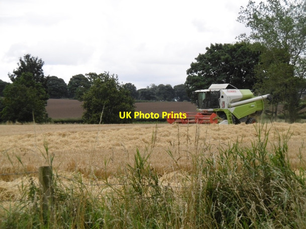 Photo 6"x4" Harvest, Ruthven Ruthven\/NO2848 c2015