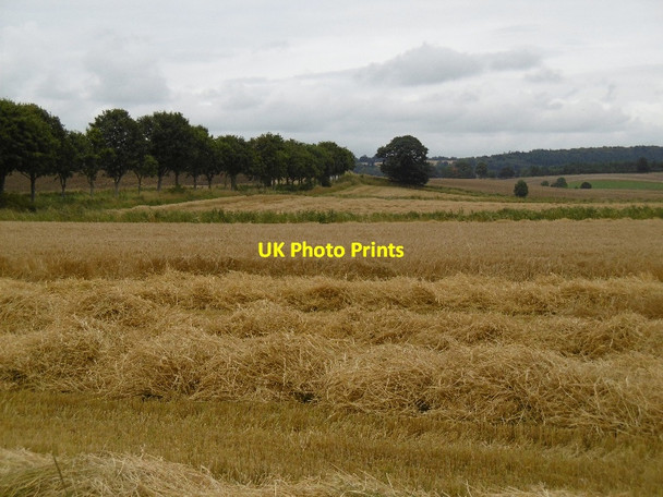 Photo 6"x4" Harvest, Ruthven Ruthven\/NO2848 c2015 P1