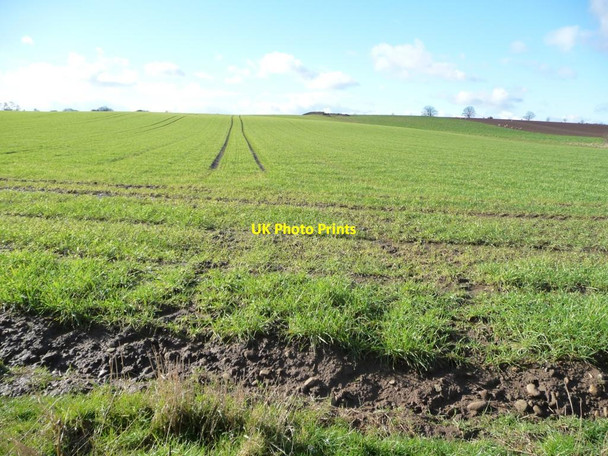 Photo 6"x4" Ruffy Hills farmland Sutton Howgrave c2016