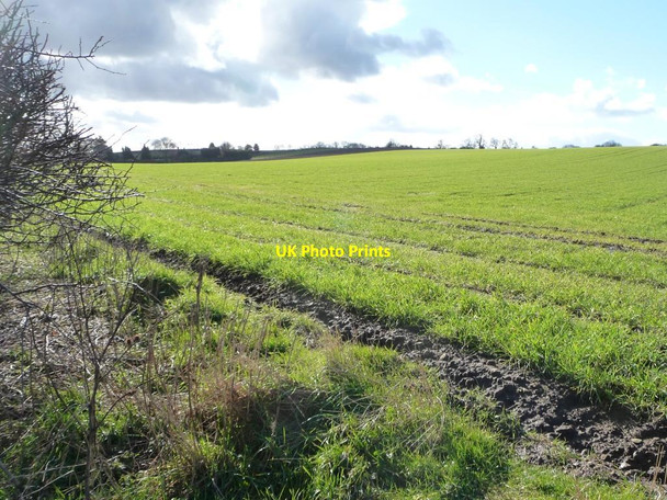 Photo 6"x4" Looking south across Ruffy Hills Sutton Howgrave c2016