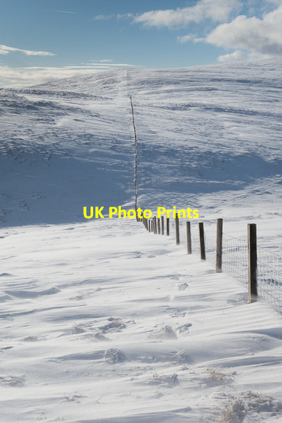 Photo 6"x4" Fence on Andrew Gannel Hill  Tillicoultry c2016
