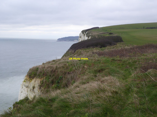 Photo 6"x4" Scrub on the clifftop by the South West Coast Path Studland c2016