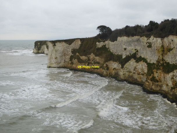 Photo 6"x4" Cliffs west of Old Harry Rocks Studland c2016