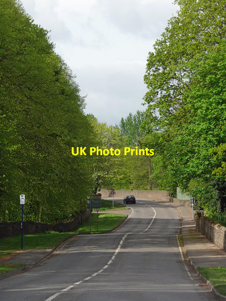 Photo 6"x4" Cortworth Lane, Wentworth Cortworth c2013