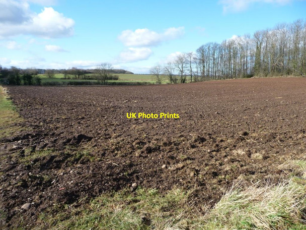 Photo 6"x4" Bare field, south of Fox Covert Sutton Howgrave c2016