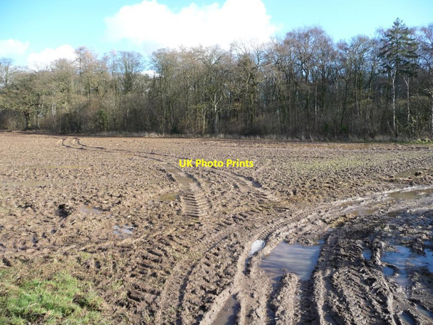 Photo 6"x4" Muddy field entrance west of Howgrave Wood Sutton Howgrave c2016