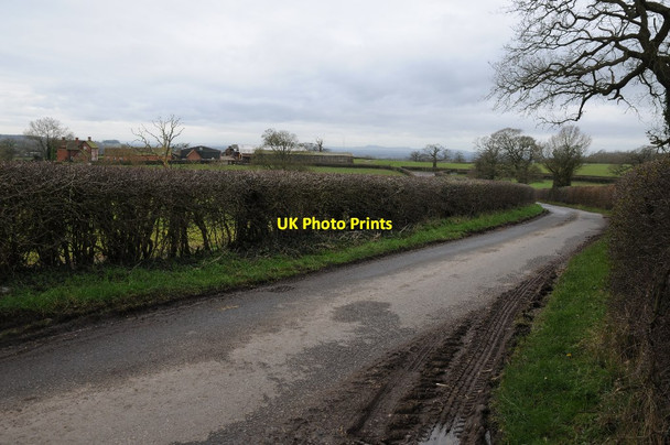 Photo 6"x4" Sheltwood Lane and Farm Bank's Green c2016