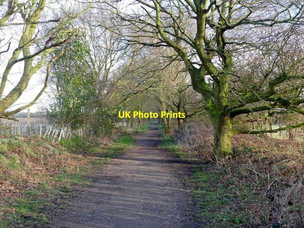 Photo 6"x4" On the Southwell Trail Farnsfield c2016