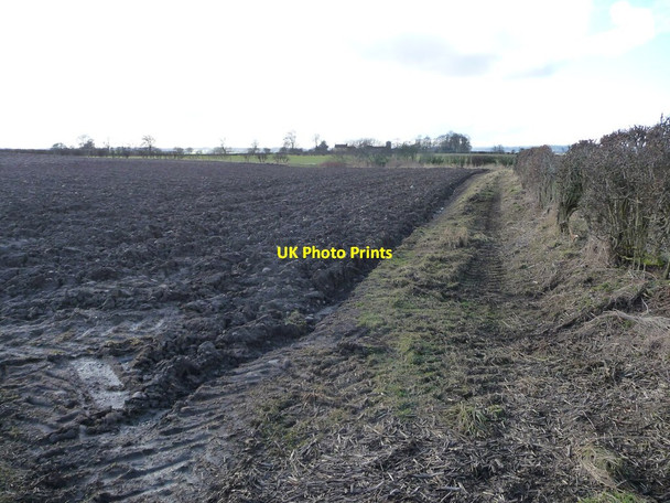 Photo 6"x4" Recently ploughed field, south-east of Thornborough Thornborough\/SE2979 c2016