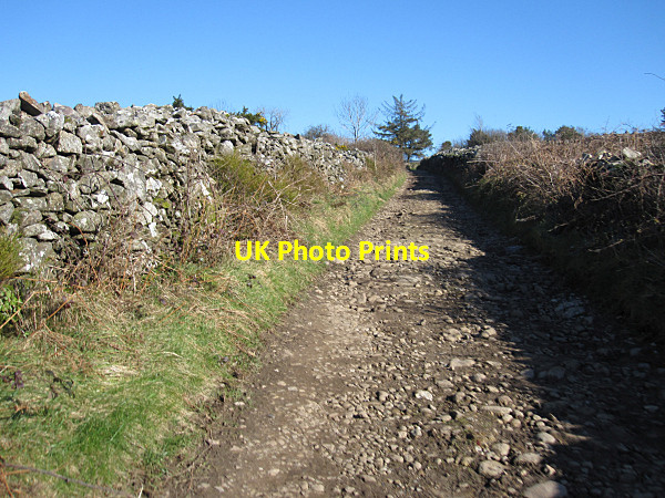 Photo 6"x4" Country Lane Inistioge c2016
