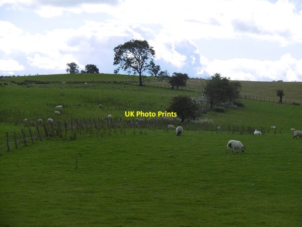 Photo 6"x4" Field by Claylands Cauldhame\/NS6494 c2015
