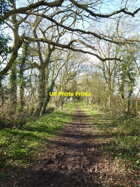 Photo 6"x4" Donkey Lane Earl's Croome c2016