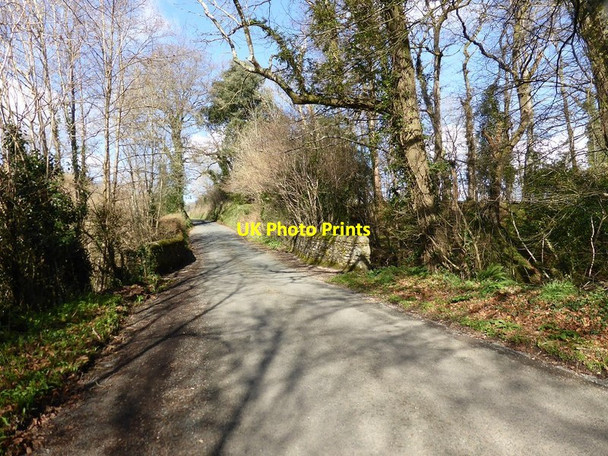 Photo 6"x4" The road to Canonteign from the B3193 Hennock c2016