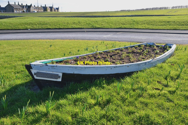 Photo 6"x4" Garden in a rowing boat, Cresswell Cresswell\/NZ2993 c2016