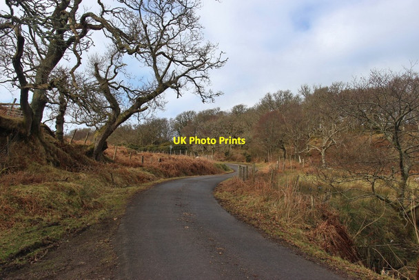 Photo 6"x4" The road to Kilberry climbs Bruach nan Clach-muillin Kilberry\/NR7164 c2016