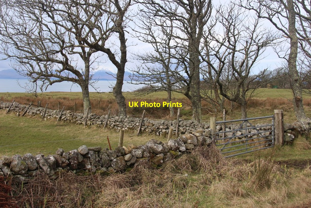 Photo 6"x4" Stone dykes at Tiretigan Kilberry\/NR7164 c2016