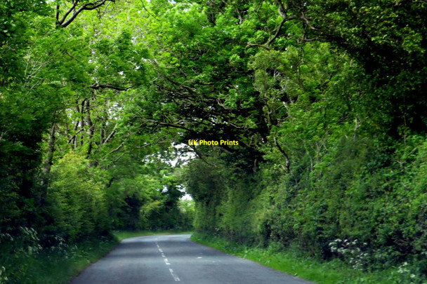 Photo 6"x4" The road to Wigglesworth Forest Becks c2015