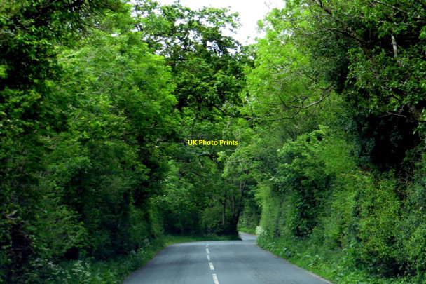 Photo 6"x4" The road to Wigglesworth Forest Becks c2015 P1