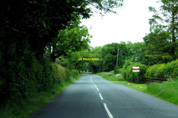 Photo 6"x4" The road past Higher Flass Grunsagill c2015